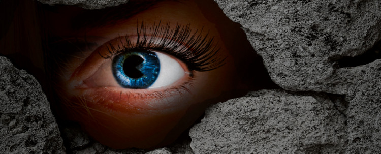 Bókarýni: Freyju saga – Múrinn eftir Sif Sigmarsdóttur