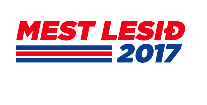 Mest lesið árið 2017